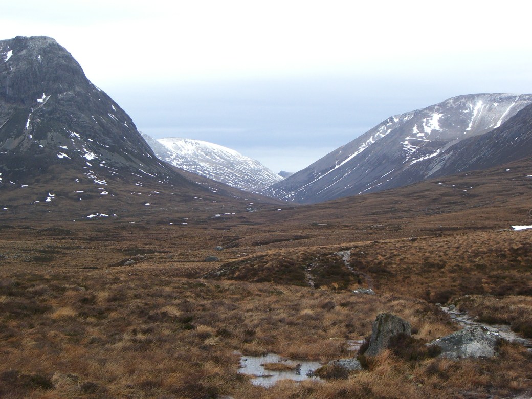 2011_1229OctNov20080006